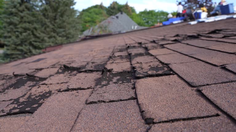 Best Metal Roofing Installation  in Fremont, NC
