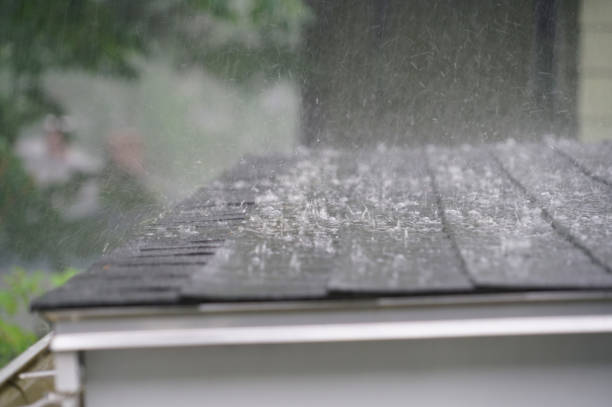 Best 4 Ply Roofing  in Fremont, NC