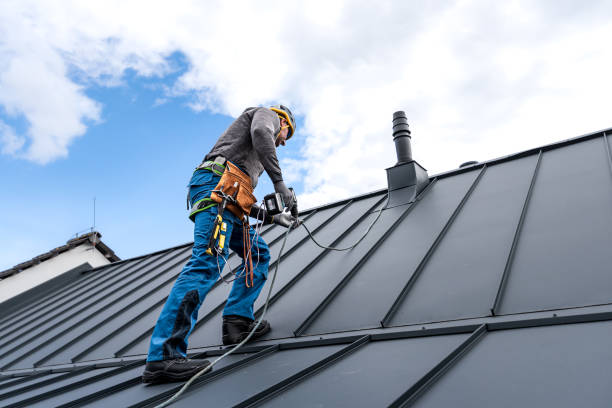 Best Roof Maintenance and Cleaning  in Fremont, NC